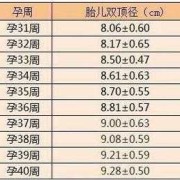 三十九周胎儿发育标准是什么样子了的啊,孕39周胎儿发育指标正常值