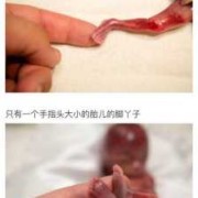 怀孕19周胎儿（怀孕19周胎儿有多大）