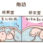 胎儿拳打脚踢（胎儿拳打脚踢）