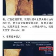 宝宝三维图怎么用ai生成,三维胎儿长相看男女准吗