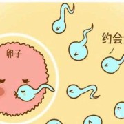易孕期体外射精（体外排精对身体有什么危害）