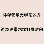 怎么度过无聊的孕期（怎么度过无聊的孕期）