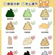 孕期用力（孕期用力大便会影响胎儿吗）