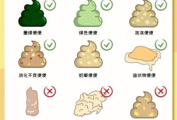 孕期用力（孕期用力大便会影响胎儿吗）