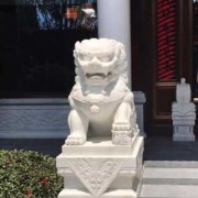 胎儿男左女右准吗（怎样判别石狮子的公母）