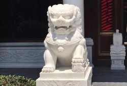 胎儿男左女右准吗（怎样判别石狮子的公母）