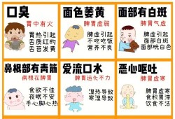胎儿会脾虚吗（胎儿脾胃虚弱是怎么造成的）