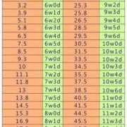 胎儿15周（孕15周胎心率多少正常？正常范围是多少）