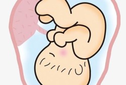 胎儿漫画图（胎儿漫画图片大全可爱）