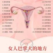妇科病有哪些种类,孕期分类早中晚期多少周