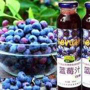 孕妇吃蓝莓好吗？怀孕中期能吃的水果有哪些,孕期喝蓝莓汁的好处