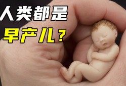 人类幼崽为何比较脆弱,胎儿有那么脆弱吗图片