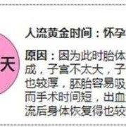 8周多适合做人流吗？人流的最佳时间是怀孕多长时间,八周胎儿人流下来图
