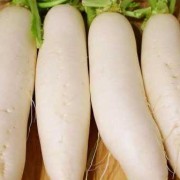 孕期能吃青萝卜吗（怀孕了能吃白萝卜吗？吃白萝卜需要注意什么）