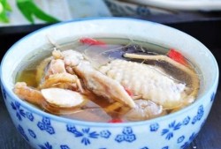 孕期吃鸽子（孕妇吃鸽子汤怎么做）