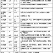 孕期肝肾功能检查项目（孕期肝肾功能检查项目有哪些）