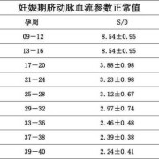 胎儿脐动脉血流频谱（胎儿脐动脉血流频谱正常值）
