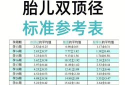 13周胎儿（13周是几个月怎么计算）
