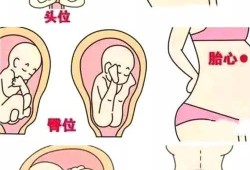 胎儿在肚脐眼周围动（胎儿在肚脐眼周围动是什么胎位）