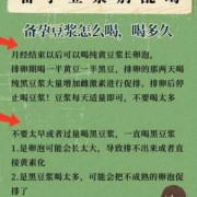 备孕期黑豆（备孕期黑豆浆什么时候喝最好）