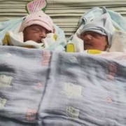 怀孕38周可以剖腹产吗,38周胎儿可以生了吗胎儿多少周可以生