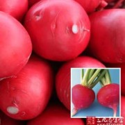 孕期可以吃红萝卜吗（孕期可以吃红萝卜吗?）