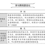 胎儿打嗝好吗（16周胎儿打嗝是不是证明发育好）