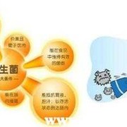 孕期吃益生菌（孕期吃益生菌对胎儿有影响吗）