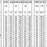 胎儿大小与孕周对照表（胎儿大小与孕周对照表图片）
