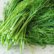 孕妇能吃小茴香吗,孕期可以吃茴香吗?