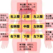孕期右上腹部疼痛（孕期右上腹部疼痛怎么办）