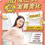 孕期宝典（珠海三益堂科技有限公司怎么样）