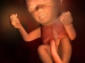 孕五个月胎儿真实图片（怀孕5个月有时胎动多，有时少，正常吗）