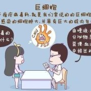 孕期巨细胞病毒感染（孕期巨细胞病毒感染小孩子能要吗）