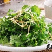 产妇坐月子能吃香菜吗？顺产后五天了，适合吃哪些菜好呢,孕期吃香菜有什么危害吗