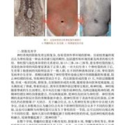 胎儿闭合性脊柱裂（脊柱裂是什么病）