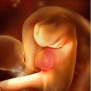 孕期胚胎图（8个月的宝宝在肚子里长啥样）