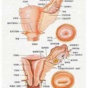 什么原因导致宫内感染？宫内感染有什么方法可以好,宫腔感染对胎儿的影响有哪些