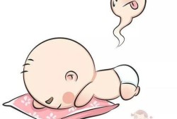 胎儿8个月在肚子里姿势（为什么八个月的宝宝晚上睡觉翻来翻去，然后趴着睡觉）