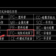 胎儿fc（胎儿fc是什么意思?）