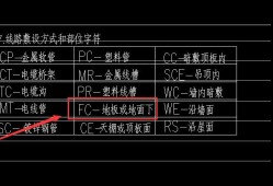 胎儿fc（胎儿fc是什么意思?）