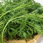 孕期能吃茼蒿吗（痛风能不能吃茼蒿吗）