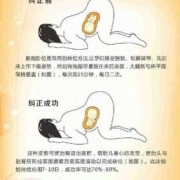 胎位多少周就固定了,头位胎动一般踢哪里