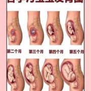 孕期子宫位置变化（孕期子宫位置变化口诀）