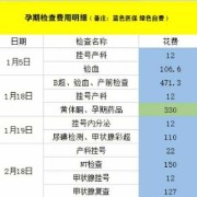 整个孕期检查费用（整个孕期检查费用清单）