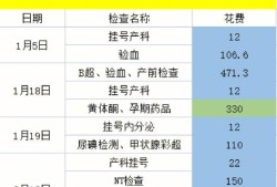 整个孕期检查费用（整个孕期检查费用清单）