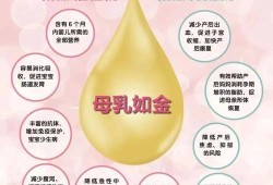 一般怀孕几个月有奶水啊,孕期有奶吗还是生完宝宝才有
