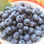 孕妇可以吃蓝莓吗,蓝莓胎儿功效