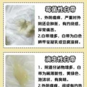 孕期白带发黄正常吗（怀孕初期白带发黄怎么办）