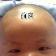 胎儿头大聪明（胎儿头大聪明还是头小聪明）